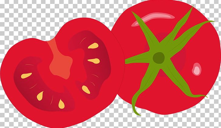 Tomato Juice Cherry Tomato Vegetable Ketchup PNG, Clipart, Apple, Cherry Tomato, Cuisine, Flower, Flowering Plant Free PNG Download