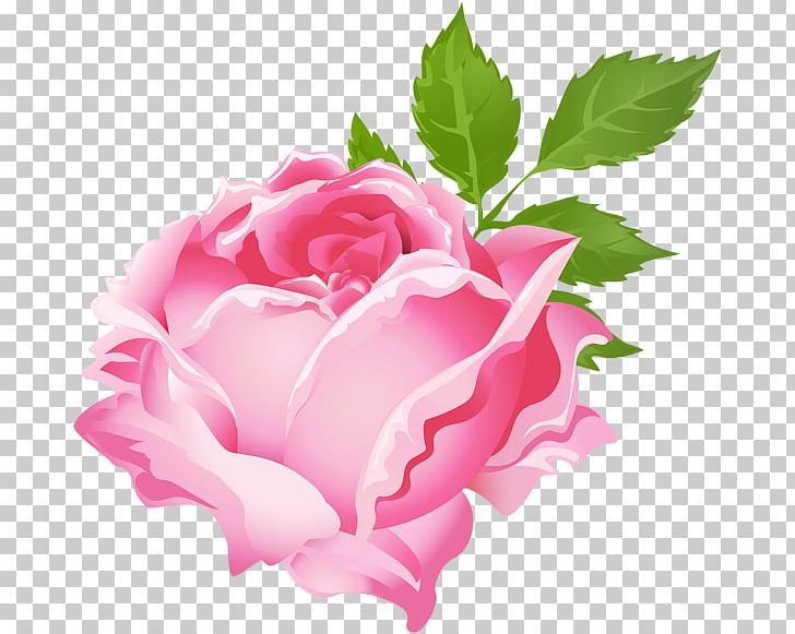 Purple Rose PNG, Clipart, Annual Plant, Art, Carnation, China Rose, Color Free PNG Download