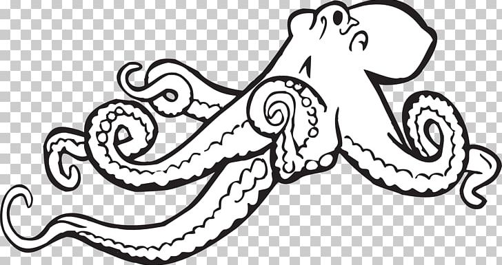 Octopus Drawing Black And White PNG, Clipart, Art, Artwork, Black, Black And White, Color Free PNG Download
