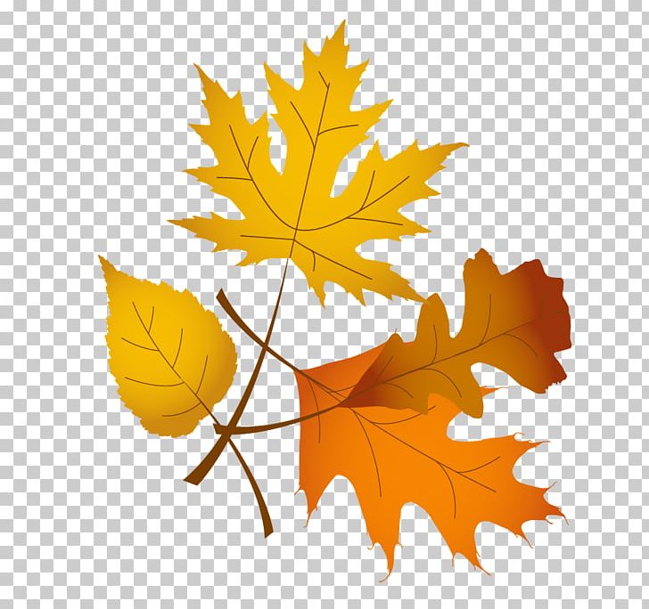 Thanksgiving Symbol PNG, Clipart, Autumn, Autumn Leaf, Cornucopia, Fall, Flowering Plant Free PNG Download