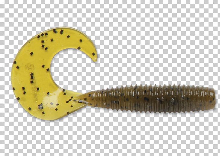 Worm Fishing Baits & Lures Surface Lure PNG, Clipart, Bait, Body, Fishing, Fishing Baits Lures, Invertebrate Free PNG Download