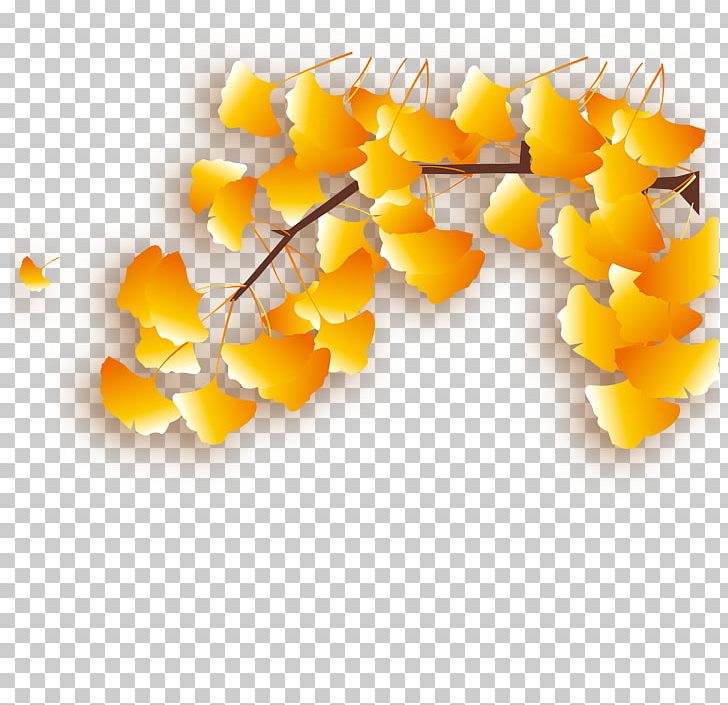 Apricot Leaf Designer PNG, Clipart, Almond, Almond Leaf, Almond Nut, Apricot, Autumn Leaf Free PNG Download