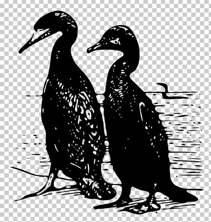 Duck Silhouette PNG, Clipart, Animals, Beak, Bird, Black, Black And White Free PNG Download