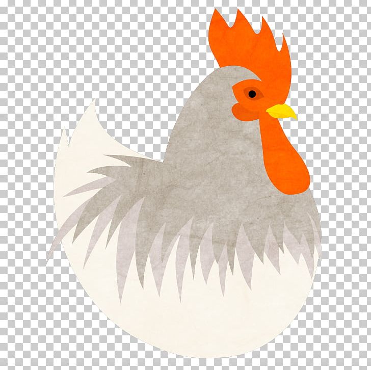 Rooster Water Bird Beak Wing PNG, Clipart, Beak, Bird, Bird Material, Chicken, Chicken As Food Free PNG Download