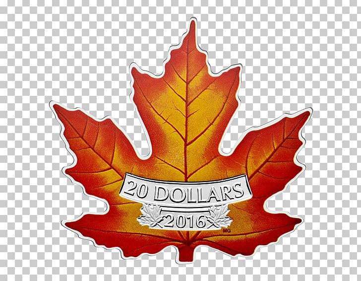 Silver Coin Royal Canadian Mint Canadian Gold Maple Leaf PNG, Clipart, Canada, Canadian Dollar, Canadian Gold Maple Leaf, Canadian Silver Maple Leaf, Coin Free PNG Download