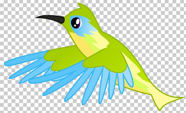 Hummingbird Macaw PNG, Clipart, Animals, Annas Hummingbird, Artwork, Beak, Bird Free PNG Download