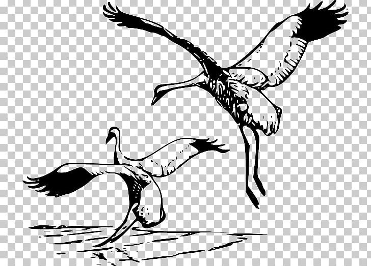 Whooping Crane PNG, Clipart, Arm, Art, Artwork, Beak, Bird Free PNG Download