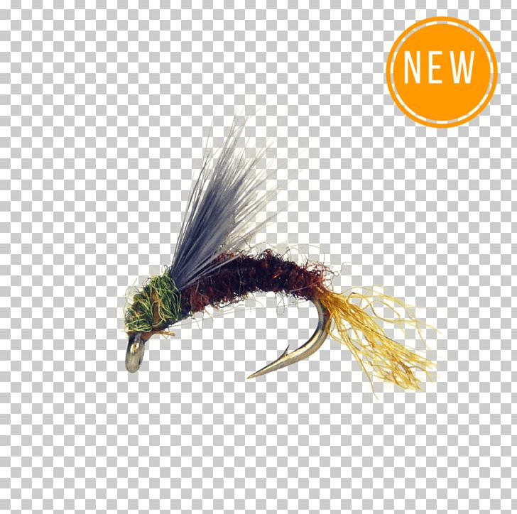 Baetis Fly Fishing Artificial Fly Insect Nymph PNG, Clipart, Animals, Artificial Fly, Baetis, Dry Fly Fishing, Fishing Bait Free PNG Download