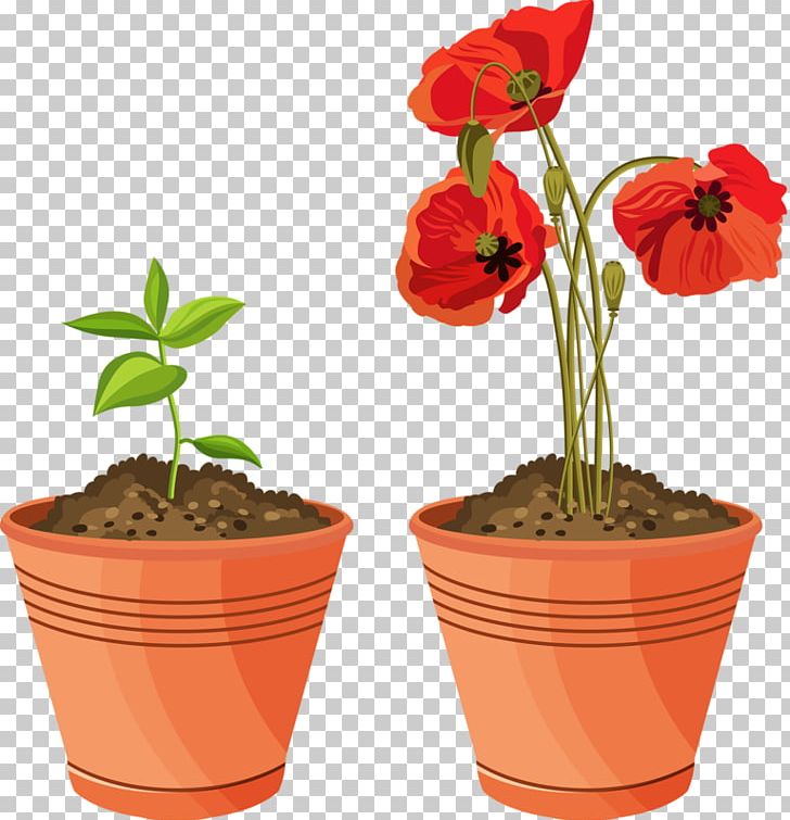 Flowerpot Floral Illustrations Garden Potting Soil PNG, Clipart, Container Garden, Drawing, Floral Illustrations, Flower, Flower Garden Free PNG Download