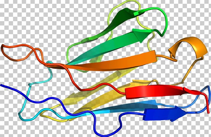 Line PNG, Clipart, Area, Art, Artwork, Glucagonlike Peptide2, Line Free PNG Download