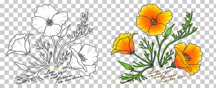 Floral Design California Poppy Watercolor Painting Drawing PNG, Clipart, Art, Artwork, California Poppy, Cut Flowers, Drawing Free PNG Download