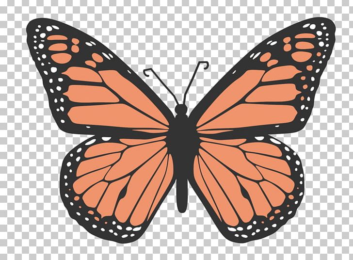 Monarch Butterfly Drawing PNG, Clipart, Animal, Animal Migration, Arthropod, Brush Footed Butterfly, Butterfly Free PNG Download