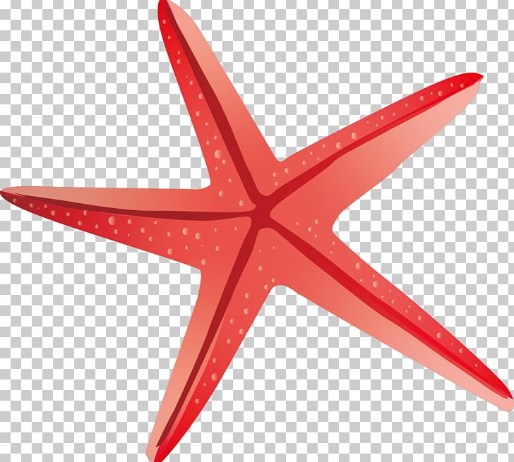 Playa De La Arena Starfish Beach PNG, Clipart, Angle, Animals, Animation, Beach, Cartoon Free PNG Download