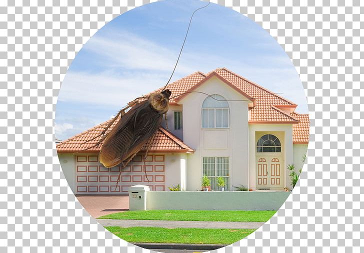 Termite Pest Control Pesticide Integrated Pest Management PNG, Clipart, Blattodea, Cottage, Facade, Home, House Free PNG Download