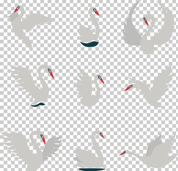 Cygnini Euclidean PNG, Clipart, Adobe Illustrator, Animals, Bird, Encapsulated Postscript, Explosion Effect Material Free PNG Download
