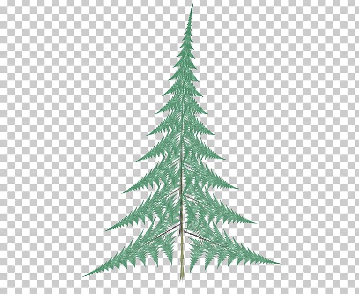 Barnsley Fern Fractal Plant Fir PNG, Clipart, Barnsley Fern, Benoit Mandelbrot, Chaos Theory, Christmas Ornament, Christmas Tree Free PNG Download