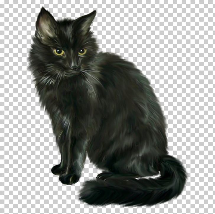 Black Cat Nebelung Malayan Cat Asian Semi-longhair Norwegian Forest Cat PNG, Clipart, Animals, Asian, Asian Semi Longhair, Asian Semilonghair, Black Free PNG Download