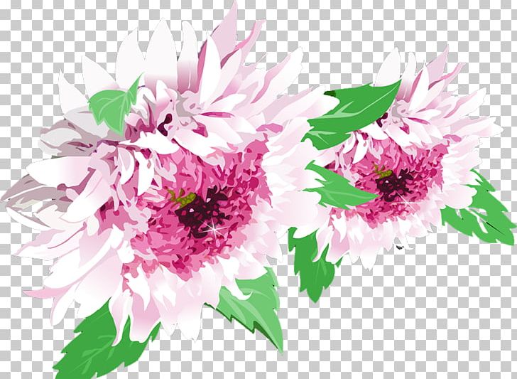 Chrysanthemum Plant Flower PNG, Clipart, Chrysanthemum Chrysanthemum, Chrysanthemum Flowers, Chrysanthemums, Dahlia, Daisy Family Free PNG Download