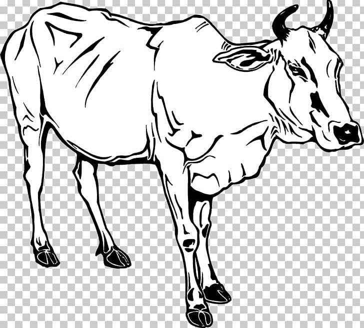 Dairy Cattle Ox Water Buffalo PNG, Clipart, Animal Husbandry, Artwork, Black And White, Book, Cattle Free PNG Download