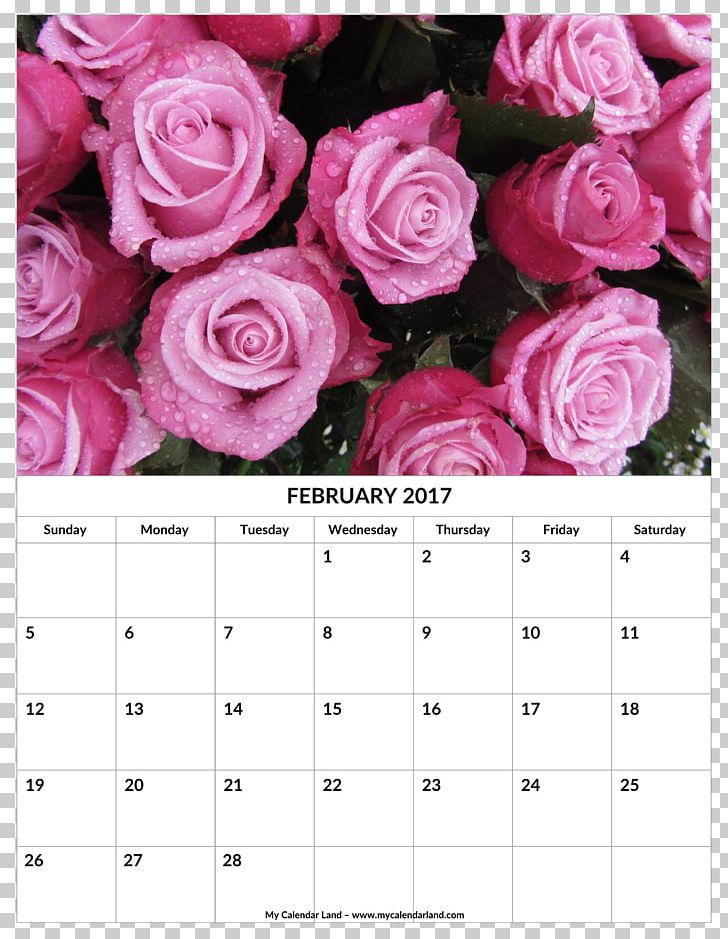 Garden Roses Desktop Flower Desktop Metaphor PNG, Clipart, 1080p, Calendar, Computer, Desktop Metaphor, Desktop Wallpaper Free PNG Download