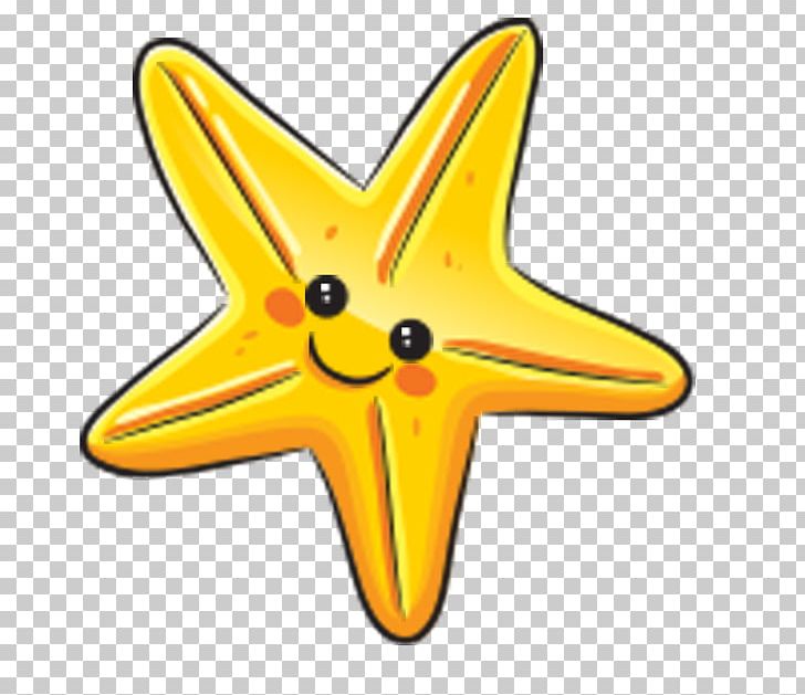 Starfish PNG, Clipart, Animal, Animals, Cartoon, Download, Drawing Free PNG Download