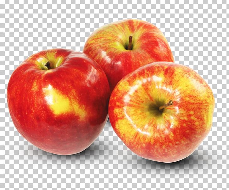 Apple Pie PNG, Clipart, Accessory Fruit, Apple, Apple Fruit, Apple Pie, Diet Food Free PNG Download