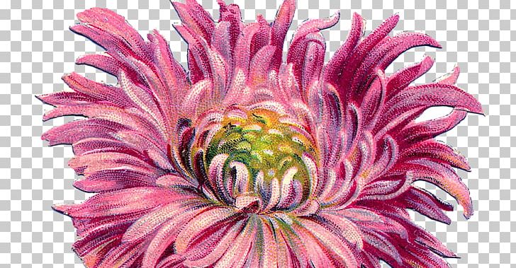 Chrysanthemum Dahlia Cut Flowers Floral Design PNG, Clipart, Acrylic Paint, Annual Plant, Art, Aster, Chrysanthemum Free PNG Download