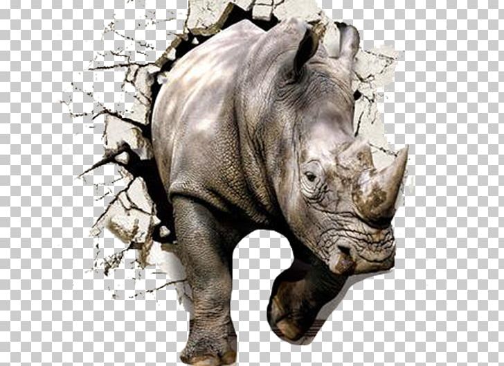 Wall Rhinoceros 3D The Gray Rhino: How To Recognize And Act On The Obvious Dangers We Ignore Paper PNG, Clipart, Animals, Art Deco, Broken Heart, Broken Out Of The Wall, Broken Wall Free PNG Download