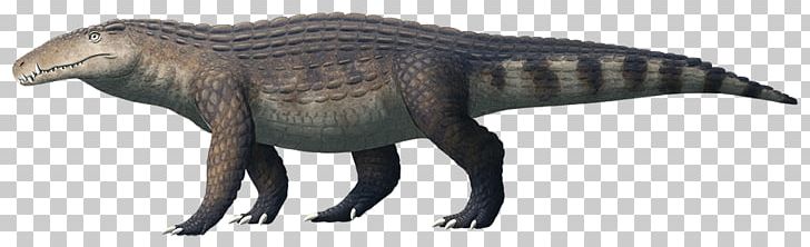 Crocodile Kaprosuchus Tyrannosaurus Terrestrisuchus Araripesuchus PNG, Clipart, Animal Figure, Animals Dinosaur, Araripesuchus, Archosaur, Crocodile Free PNG Download