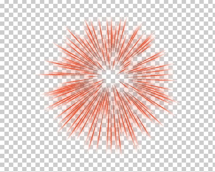 Fireworks Animation Photography PNG, Clipart, Animation, Blue, Circle, Color, Computer Wallpaper Free PNG Download
