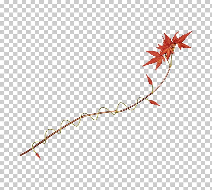 Maple Leaf PNG, Clipart, Branch, Branches, Encapsulated Postscript, Green, Green Leaf Free PNG Download