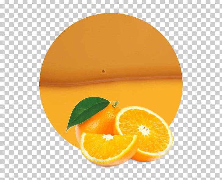 Orange Juice Tangelo Mandarin Orange PNG, Clipart, Blood Orange, Citric Acid, Citrus, Clementine, Concentrate Free PNG Download