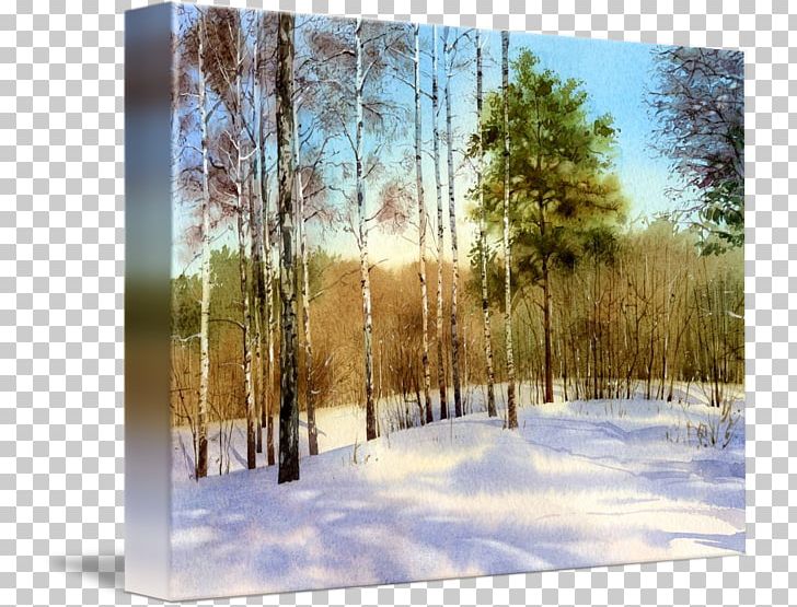 Birch Painting Biome State Park Wood PNG, Clipart, Biome, Birch, Ecosystem, Forest, Freezing Free PNG Download