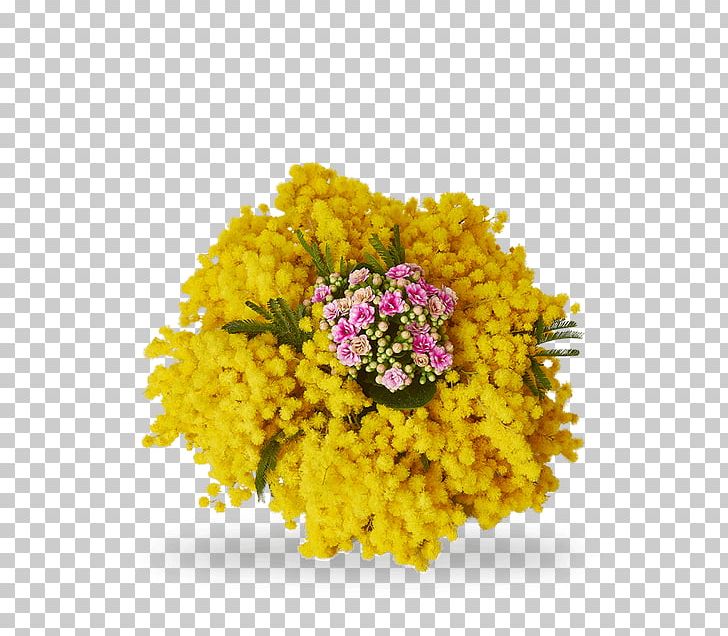 Cut Flowers Acacia Dealbata International Women's Day Floristry PNG, Clipart,  Free PNG Download
