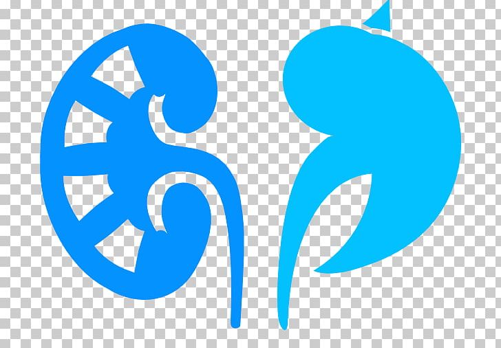 Nephrology Kidney Disease Contrast-induced Nephropathy Dialysis PNG, Clipart, Area, Azure, Blue, Brand, Chronic Kidney Disease Free PNG Download