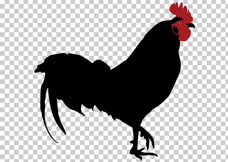 Rooster Silhouette Drawing PNG, Clipart, Animals, Art, Astrologie, Beak, Bird Free PNG Download