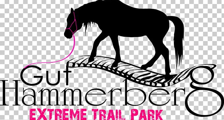 Extreme Trail Park Gut Hammerberg Reithalle Gut Bösenburg Pony Of The Americas PNG, Clipart, Black And White, Brand, Bridle, Colt, Equestrian Free PNG Download