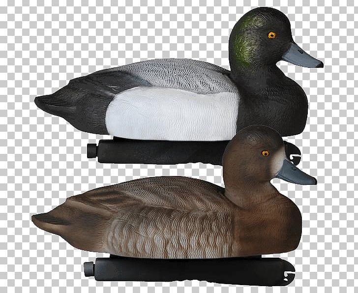 Mallard Duck Decoy Goose PNG, Clipart, Animals, Anseriformes, Beak, Bill, Bird Free PNG Download