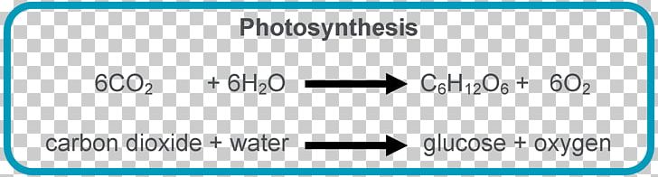 Photosynthesis Equation Chloroplast Light-dependent Reactions Symbiogenesis PNG, Clipart, Angle, Area, Balance Equation, Biology, Blue Free PNG Download