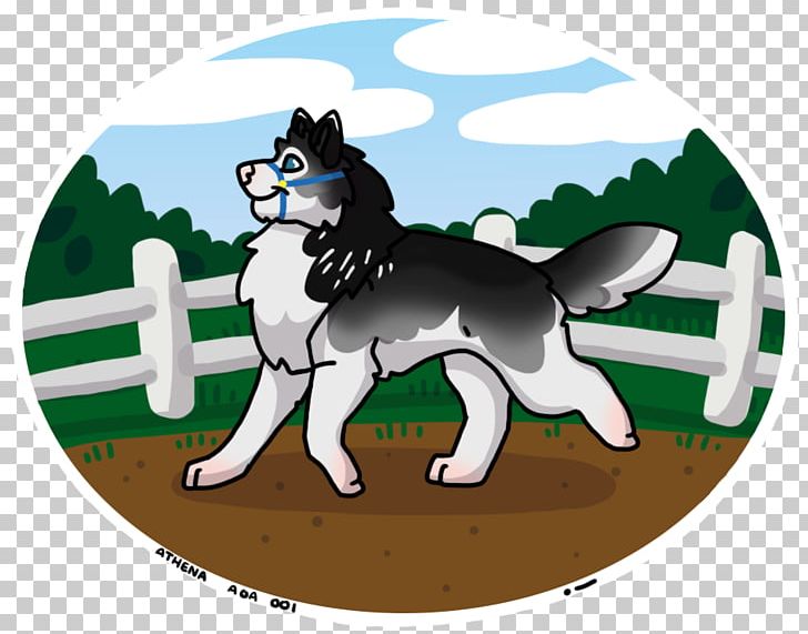 Siberian Husky Puppy Animal Cat Dog Breed PNG, Clipart, Animal, Animals, Aoa, Breed, Canidae Free PNG Download