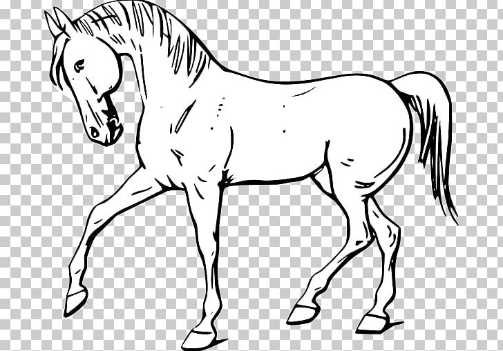 Tennessee Walking Horse Stallion PNG, Clipart, Animal, Art, Artwork, Black And White, Bridle Free PNG Download