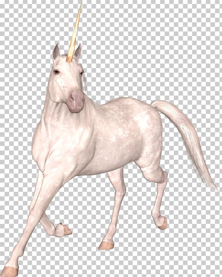Unicorn Horse PNG, Clipart, Aesthetics, Animal Figure, Art, Fantasy, Fictional Character Free PNG Download