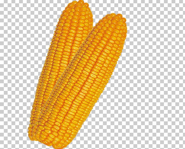 Corn On The Cob Maize PNG, Clipart, Cartoon Corn, Commodity, Corn, Corn Cartoon, Corn Flakes Free PNG Download