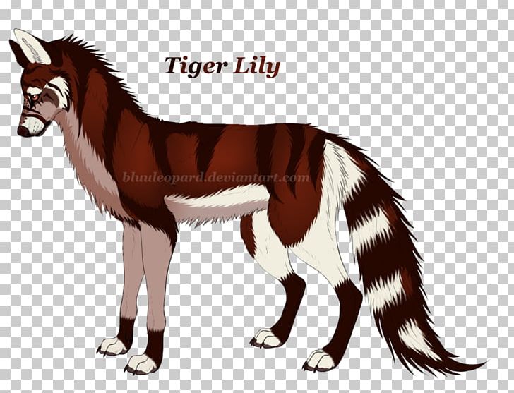 Dog Cat Horse Fur Paw PNG, Clipart, Animals, Carnivoran, Cartoon, Cat, Cat Like Mammal Free PNG Download