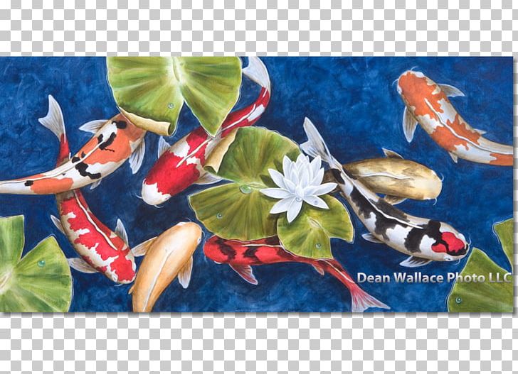 Koi Painting The Color Group Giclée Fine Art PNG, Clipart, Art, Artist, Fauna, Fine Art, Fineart Photography Free PNG Download