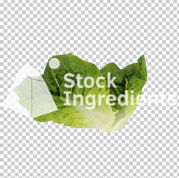 Romaine Lettuce Spring Greens Leaf Vegetable Plastic PNG, Clipart, Leaf, Leaf Vegetable, Lettuce, Plastic, Romaine Lettuce Free PNG Download