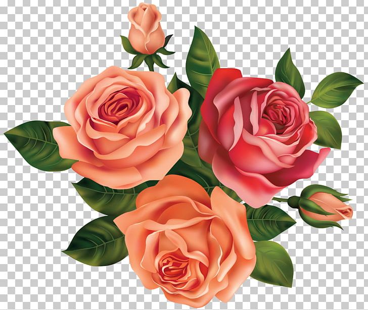 Rose Flower PNG, Clipart, Artificial Flower, Black Rose, Blog, Cut Flowers, Floral Design Free PNG Download
