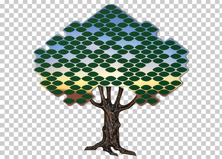 Tree Donor Recognition Wall Donation Leaf Futura PNG, Clipart, Adaptation, Donation, Donor Recognition Wall, Futura, Leaf Free PNG Download