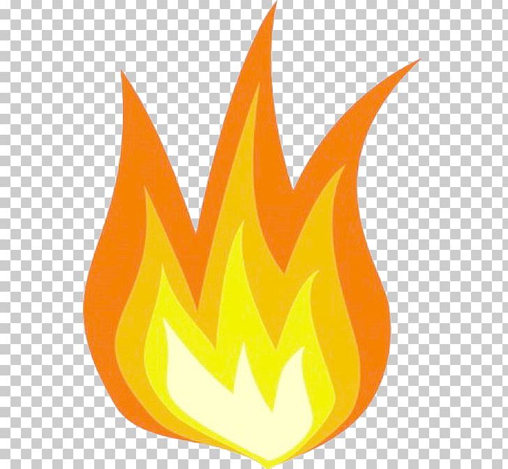 Barbecue Grill Flame Fire PNG, Clipart, Colored Fire, Combustion, Computer Icons, Creative Background, Download Free PNG Download