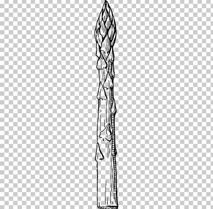 Asparagus Drawing Vegetable PNG, Clipart, Arm, Asparagus, Black And White, Chef, Drawing Free PNG Download